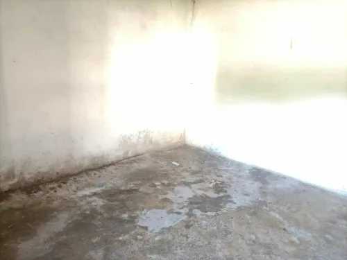 Vente bien immobilier Souk Ahras Ouled driss
