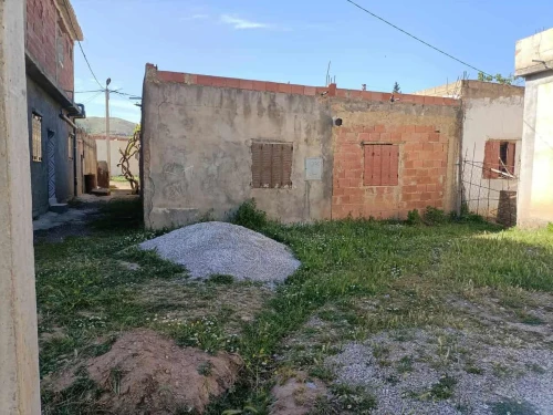 Vente bien immobilier Souk Ahras Ouled driss