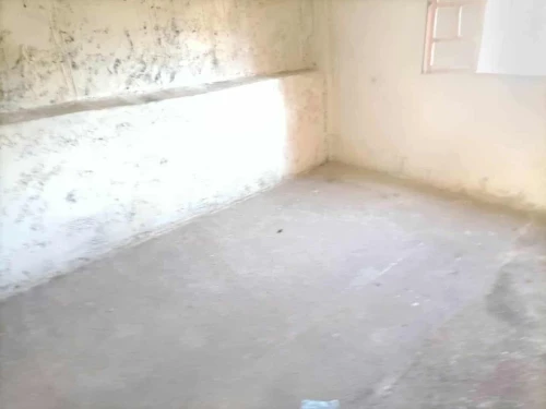 Vente bien immobilier Souk Ahras Ouled driss