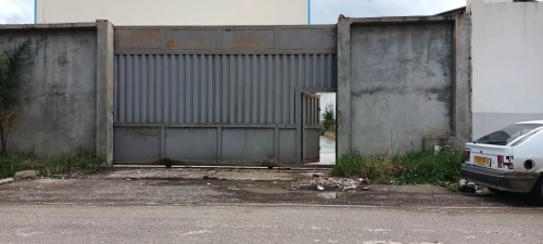 Location Hangar Alger Birtouta