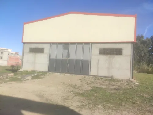Location Hangar Alger Birtouta