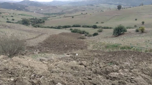 Vente Terrain Tizi Ouzou Ouadhia