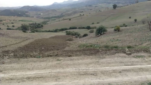 Vente Terrain Tizi Ouzou Ouadhia