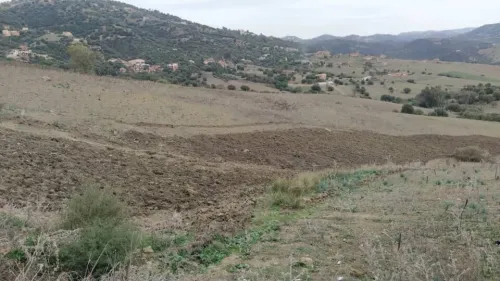 Vente Terrain Tizi Ouzou Ouadhia