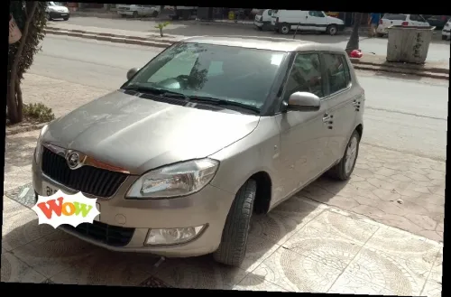 Skoda Fabia 2013 Fresh