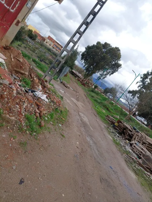 Location Local Aïn Defla Rouina