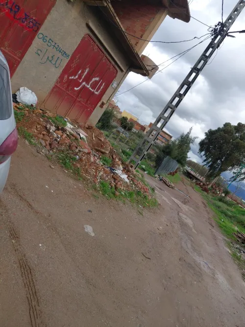 Location Local Aïn Defla Rouina