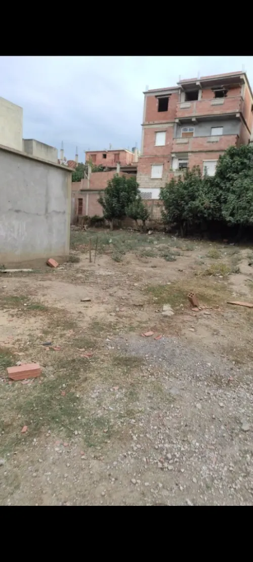 Vente Terrain Blida Guerrouaou