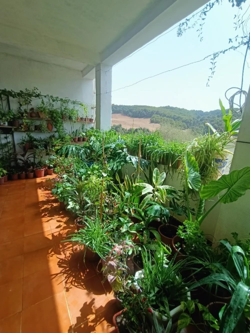 Location Villa Tipaza Tipaza