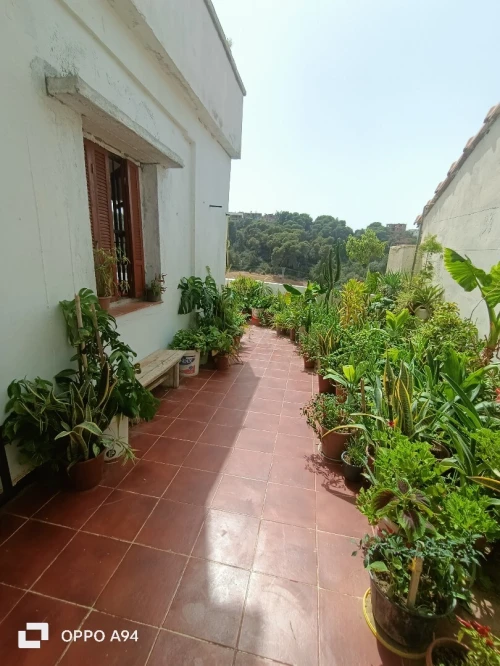 Location Villa Tipaza Tipaza