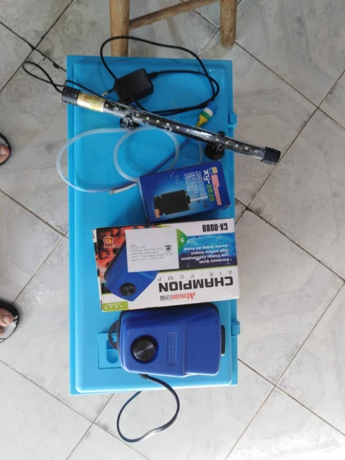 Aquarium complet à vendre