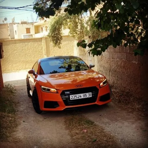 Audi TTS 2015 TTS