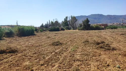 Vente Terrain Agricole Aïn Defla Mekhatria