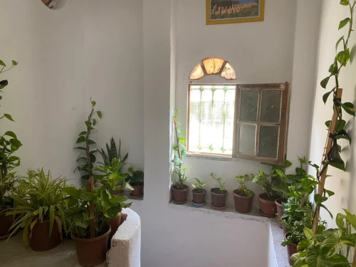 Location Villa Tipaza Tipaza