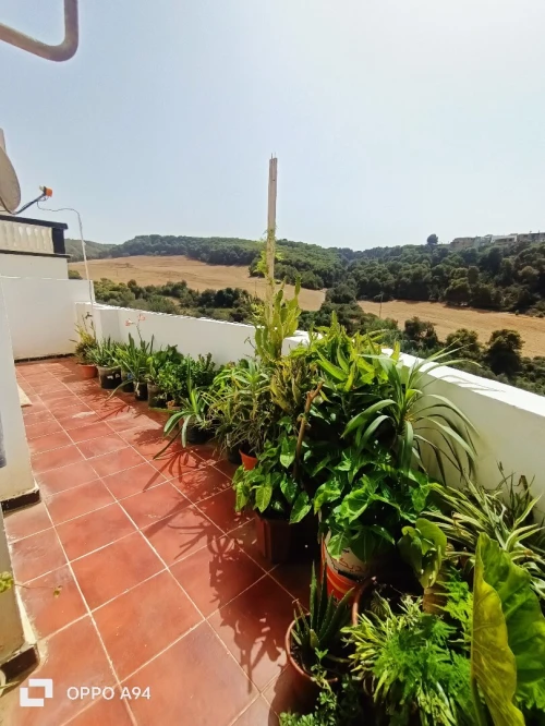 Location Villa Tipaza Tipaza