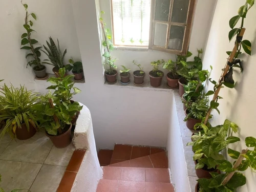 Location Villa Tipaza Tipaza