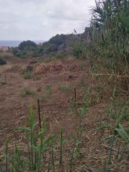 Vente Terrain Tizi Ouzou Tigzirt