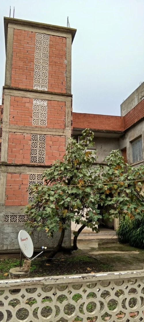 Vente Villa Blida Chebli