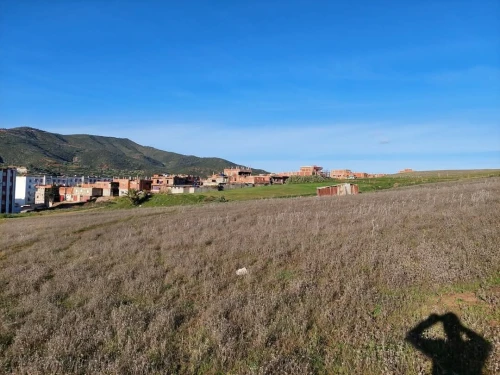 Vente Terrain Skikda Bouchtata