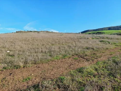 Vente Terrain Skikda Bouchtata