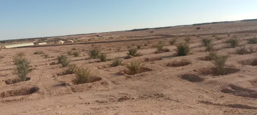 Vente Terrain Agricole Biskra Lioua