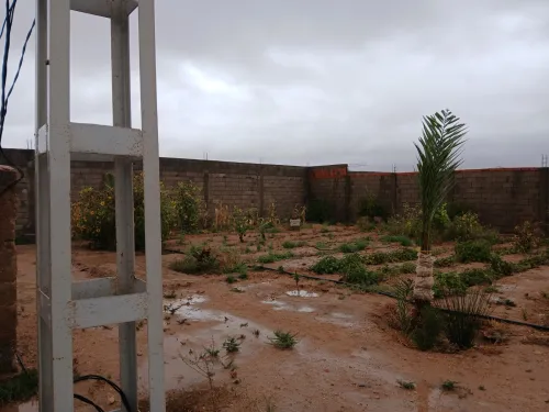 Vente Terrain Laghouat El assafia