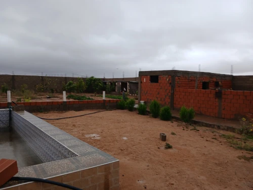 Vente Terrain Laghouat El assafia