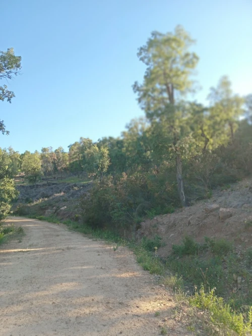 Vente Terrain Tizi Ouzou Yakouren
