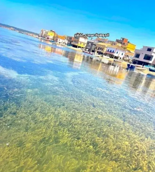 Location vacances Appartement Niveau de villa F3 Mostaganem Sidi lakhdaara
