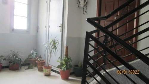 Location Appartement F4 Alger Cheraga