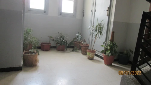 Location Appartement F4 Alger Cheraga