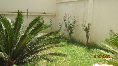 Location Niveau De Villa F2 Alger Bir mourad rais