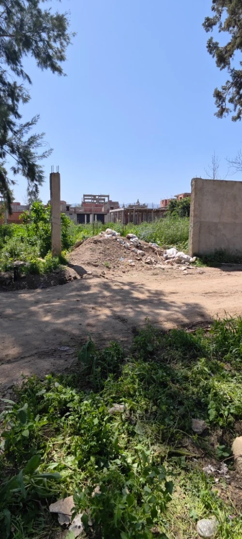 Vente Terrain Blida Chebli