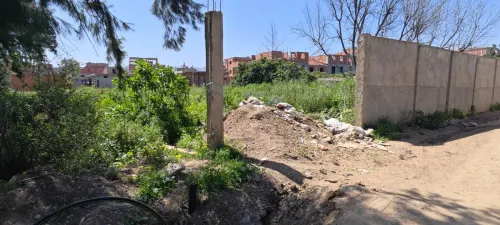 Vente Terrain Blida Chebli
