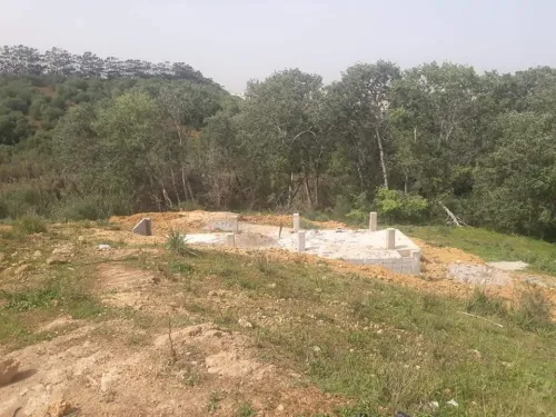 Vente Terrain Alger Saoula