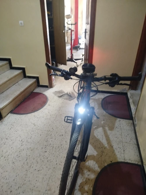 Velo electric Giant