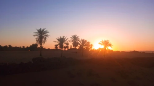 Vente Terrain Timimoun Timimoun