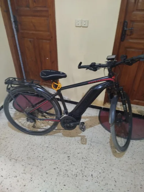 Velo electric Giant