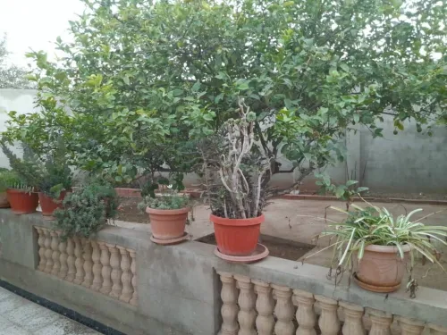 Vente Villa Chlef Chlef