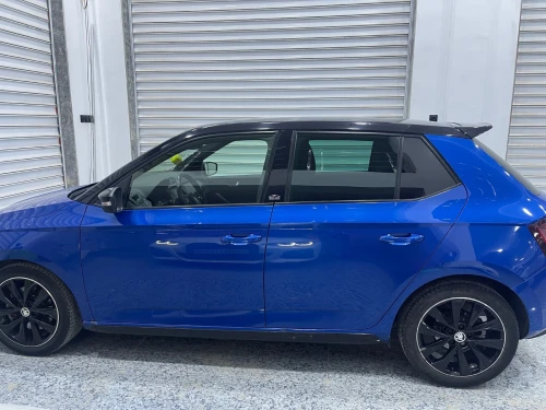 Skoda Fabia 2021 Monte Carlo