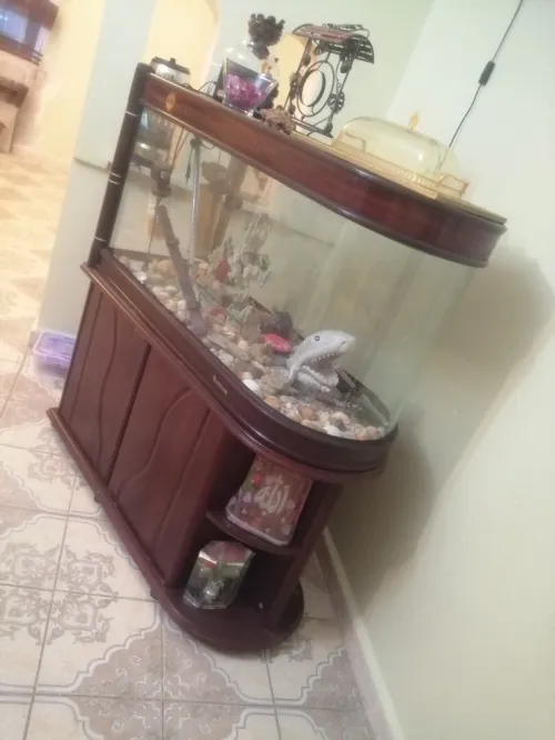 Acquarium