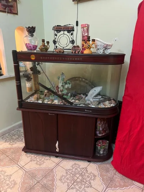صالون salon