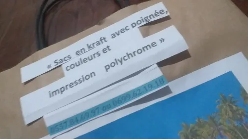 Sacs papier kraft 