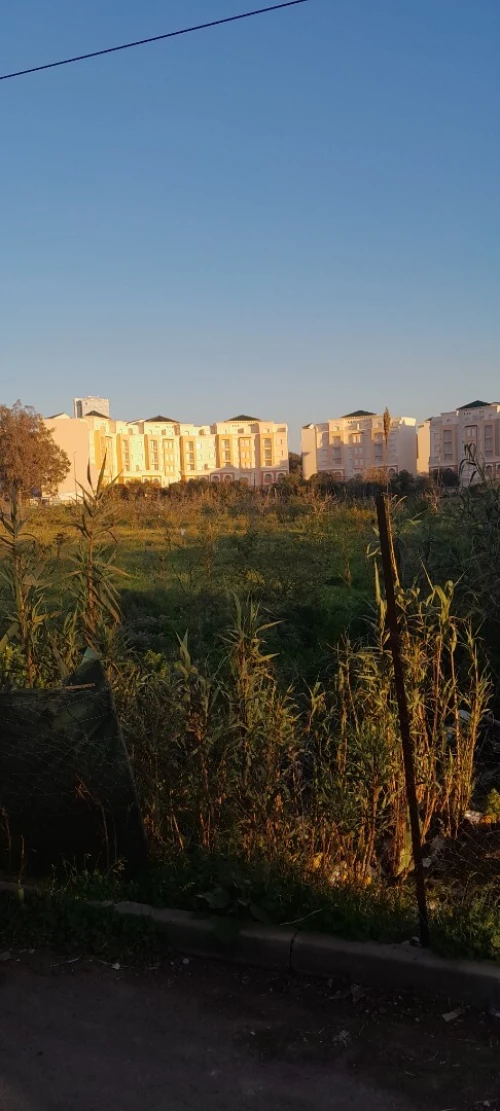 Location Terrain Agricole Alger Cheraga