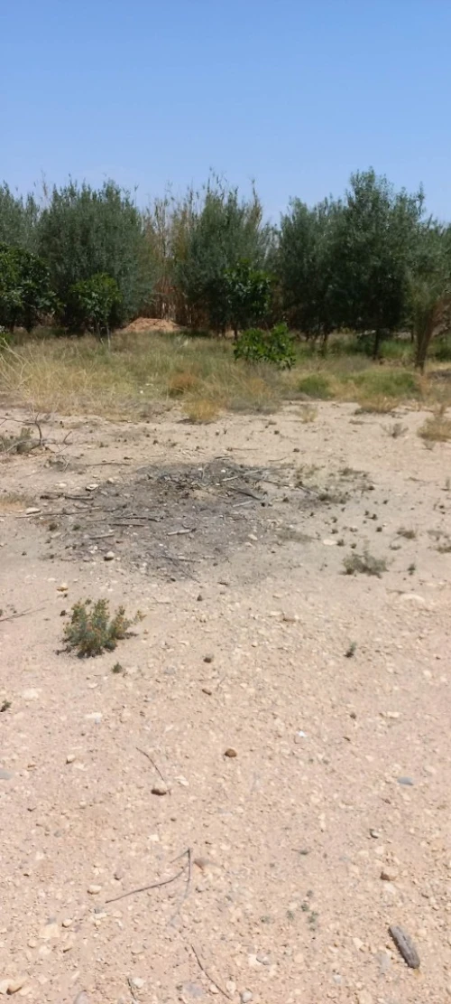 Vente Terrain Msila Bou saada