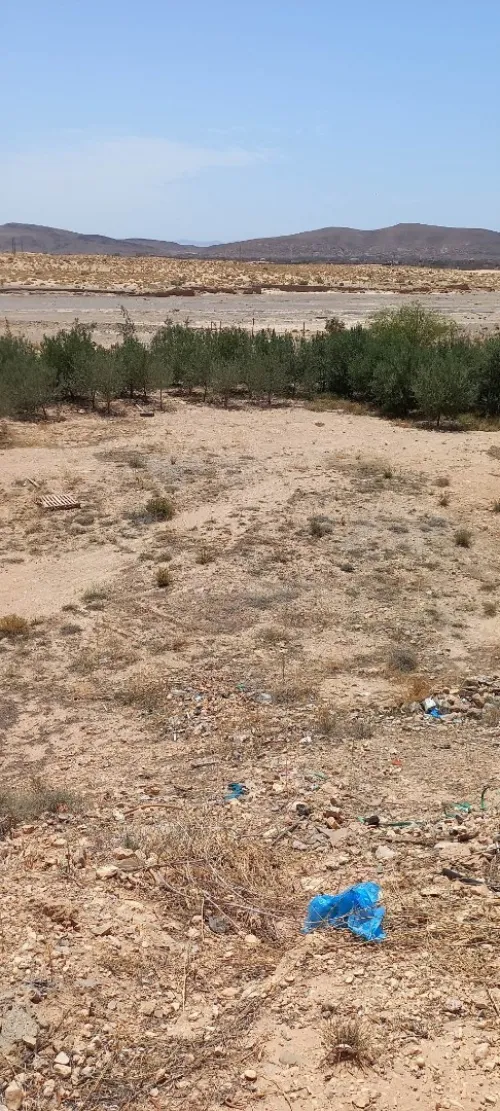 Vente Terrain Msila Bou saada