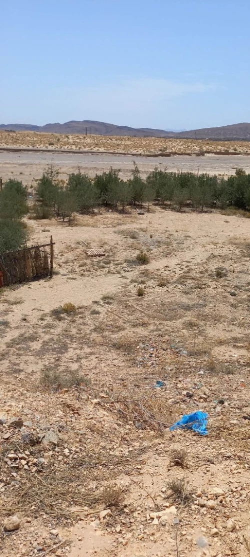 Vente Terrain Msila Bou saada