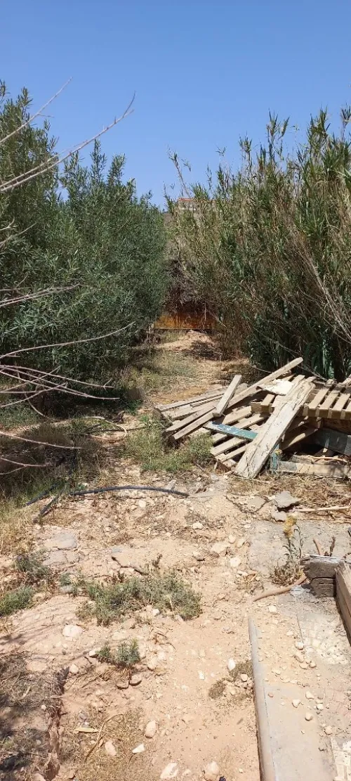 Vente Terrain Msila Bou saada