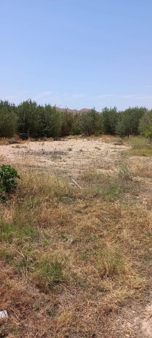 Vente Terrain Msila Bou saada