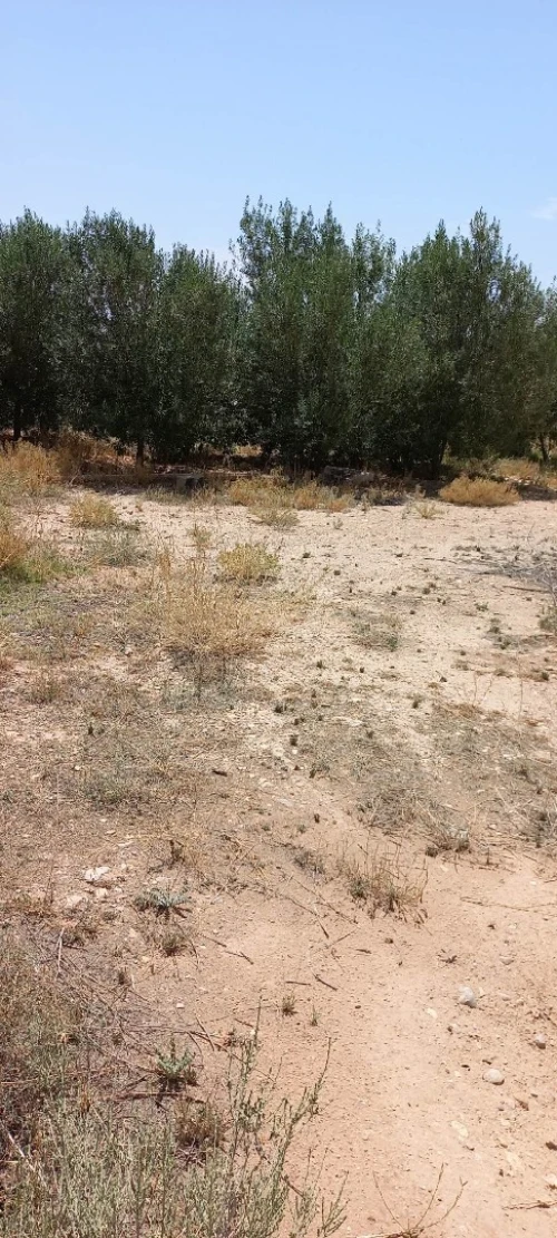 Vente Terrain Msila Bou saada